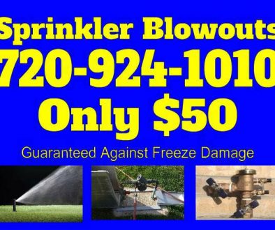 Fall 2016 Sprinkler Blowout Special