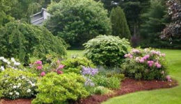 Enhance Your Landscape with Berms!