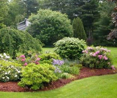 Enhance Your Landscape with Berms!